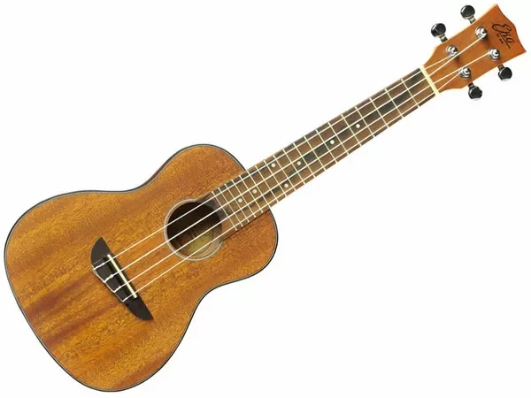 ippomusic2209391