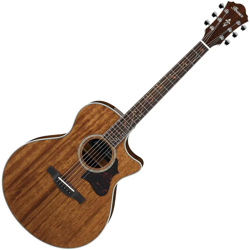 ippomusic2213298
