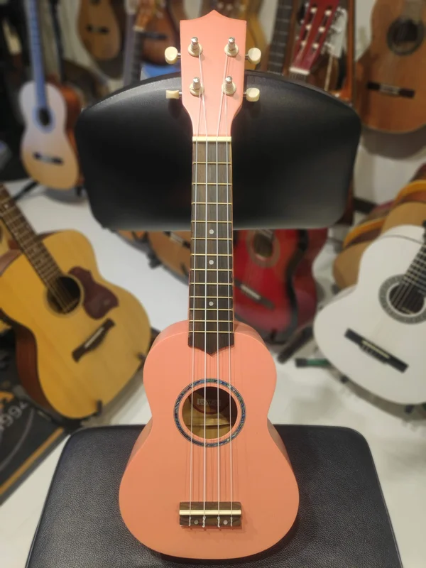 ippomusic2213327
