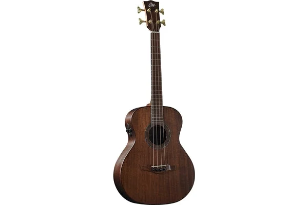ippomusic2220082