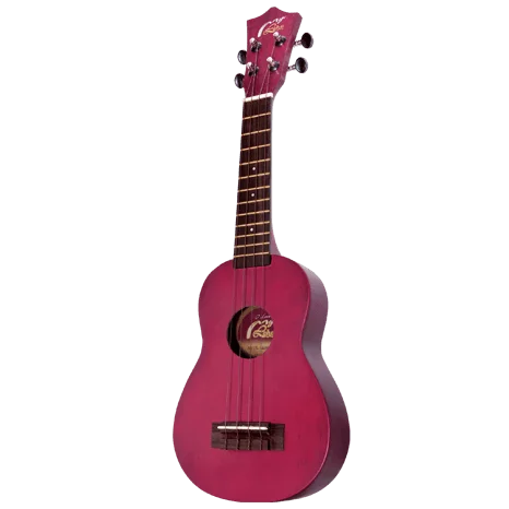 ippomusic2256165