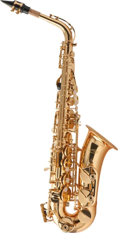 ippomusic2259550
