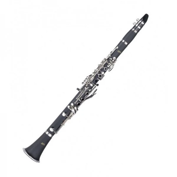 ippomusic2259936
