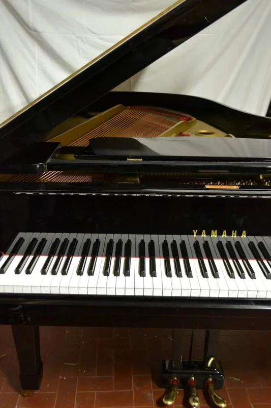 musicaearte-2181646