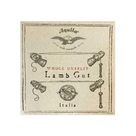 paganino-2163508