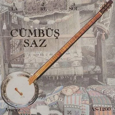 salamuzik2174034