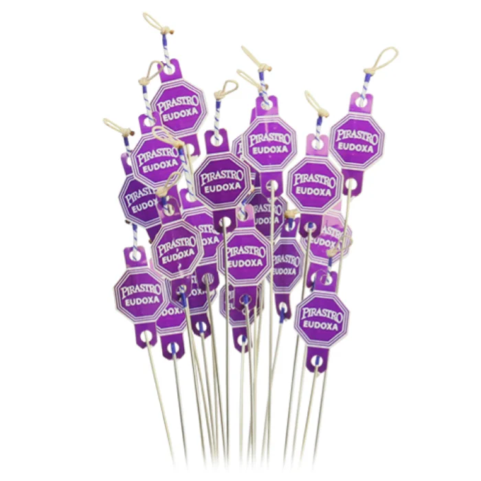 scaramuzzastrumentimusicali-2202039