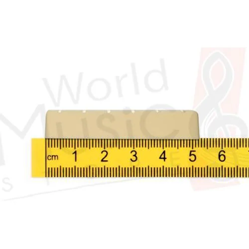 worldmusic-store-2193685