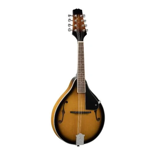 worldmusic-store-2201461