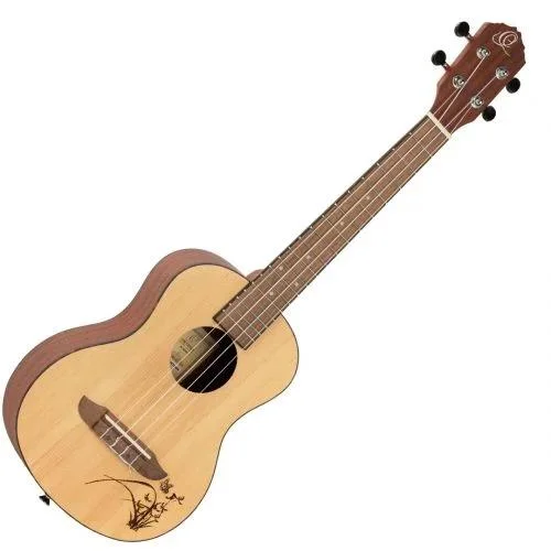 worldmusic-store-2203152