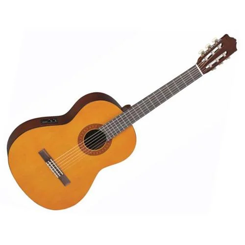 worldmusic-store-2256732