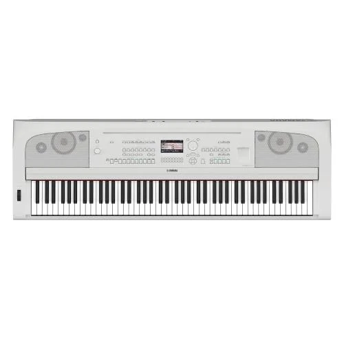 worldmusic-store-2256738